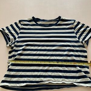 Everlane Striped Navy Cream Cotton Tee Size Medium
